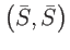 $\displaystyle \left( \bar{S},\bar{S}\right)$