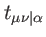$ t_{\mu \nu \vert\alpha }$