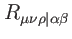 $ R_{\mu \nu \rho \vert\alpha \beta }$