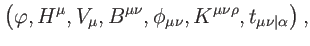 $\displaystyle \left( \varphi ,H^{\mu },V_{\mu },B^{\mu \nu },\phi
_{\mu \nu },K^{\mu \nu \rho },t_{\mu \nu \vert\alpha }\right) ,$