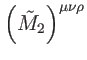 $ \left( \tilde{M}_{2}\right) ^{\mu \nu \rho }$