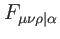 $\displaystyle F_{\mu \nu \rho \vert\alpha }$