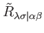 $ \tilde{R}_{\lambda \sigma
\vert\alpha \beta }$