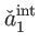 $\displaystyle \check{a}_{1}^{\mathrm{int}}$