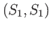 $ \left( S_{1},S_{1}\right) $