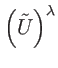 $ \left( \tilde{U}\right) ^{\lambda }$