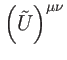 $ \left( \tilde{U}\right) ^{\mu \nu }$