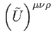 $ \left( \tilde{U}\right) ^{\mu \nu
\rho }$