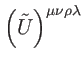 $ \left(
\tilde{U}\right) ^{\mu \nu \rho \lambda }$