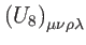 $ \left( U_{8}\right) _{\mu \nu \rho \lambda }$