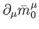 $\displaystyle \partial _{\mu }\bar{m}
_{0}^{\mu }$