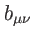 $ b_{\mu \nu }$