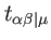 $ t_{\alpha
\beta \vert\mu }$